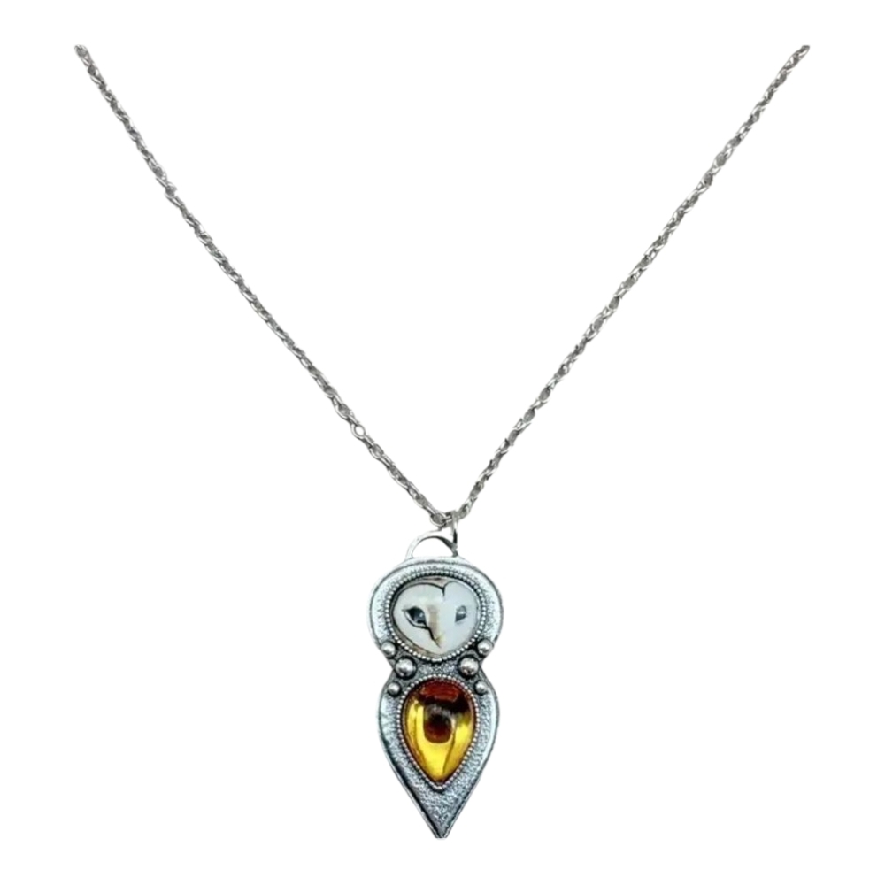 Silver and Gold Owl Pendant Necklace and Earring Set